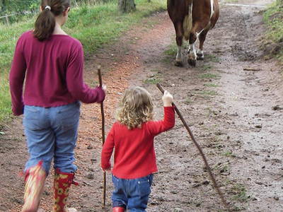 Bild 17 aus  Danielenhof