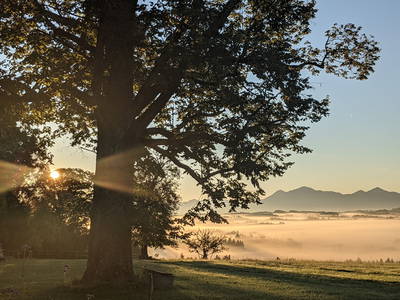 oh du schöner Herbst