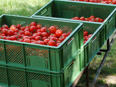 Bild 10 aus  Biohof Grafel - ein Ort, der verbindet
