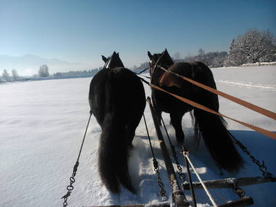 Bild 10 aus  Beim Schmied