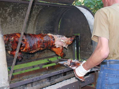 Bild 38 aus  Ommen Ferienhof