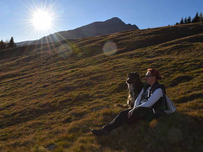 Bild 29 aus  Marschalkhof    Urlaub auf dem Bauernhof