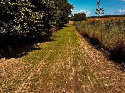 Bild 14 aus  Ostsee Baumhaushotel Schleswig-Holstein