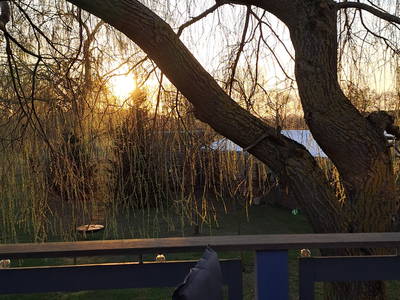 Bild 19 aus  Tiny House trifft Alpaka-Traum – Natururlaub mal anders!