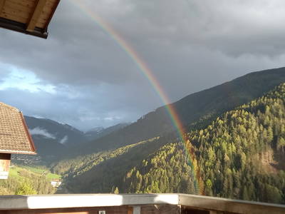 Bild 49 aus  Kreuzplon