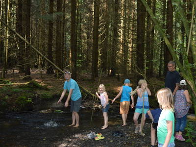 Bild 15 aus  Bauernhofpension Bals