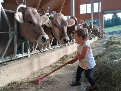 Auch die Kleinsten sind bei er Stallarbeit willkommen