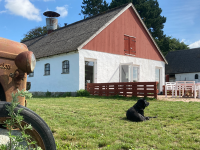 Bild 2 aus  Dambækgaard