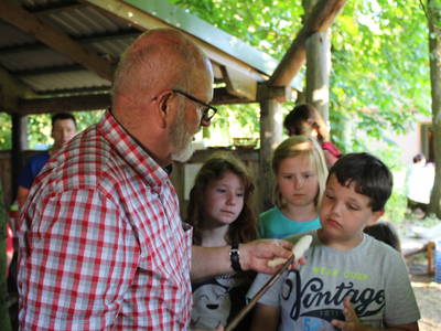 Bild 9 aus  Dahmerhof