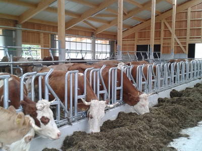 Bild 12 aus  Unterulpointhof