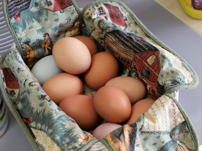 Eier von unseren Hühnern