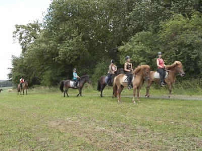 Bild 15 aus  Landhotel-Ferienhof Schneider