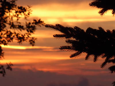 Bild 33 aus  Ferienhaus Gut Rattelvitz-INSEL RÜGEN