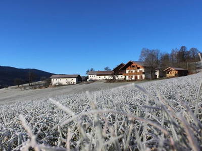 Bild 5 aus  Kriegerhof