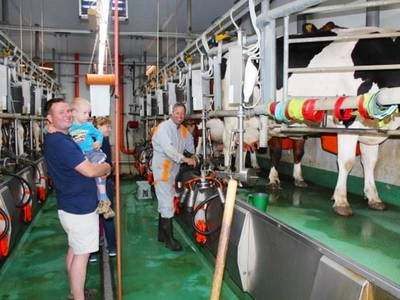 Bild 8 aus  Ferienhof Vennhof