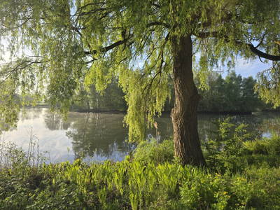 Bild 7 aus  Ferienwohnungen Seehof Reuter