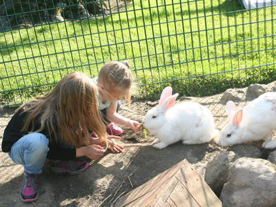 Bild 5 aus  Ostseeferienhof  Stoldt