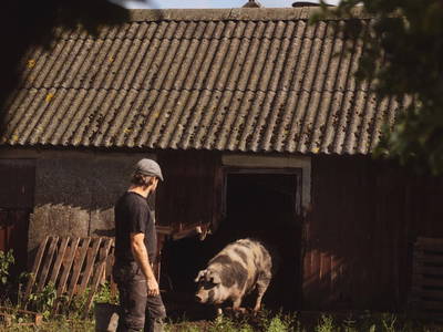 Bild 13 aus  Dambækgaard