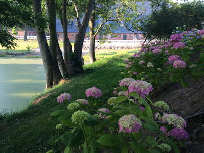 Bild 36 aus  Gut Friederikenhof