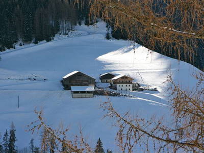 Bild 22 aus  Biobergbauernhof Garmesegg