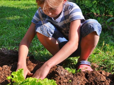 eine fleißige Helferin in unserem Bio-Gemüsegarten