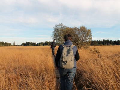 Bild 27 aus  Victorhof Ferienwohnungen