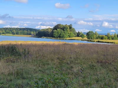 Bild 21 aus  Baretzerhof