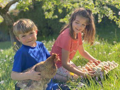 Bild 3 aus  Biohof Pürten