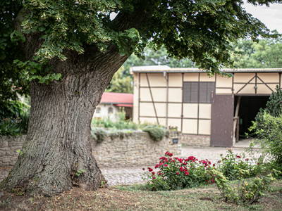 Bild 6 aus  Rittergut Schwanditz