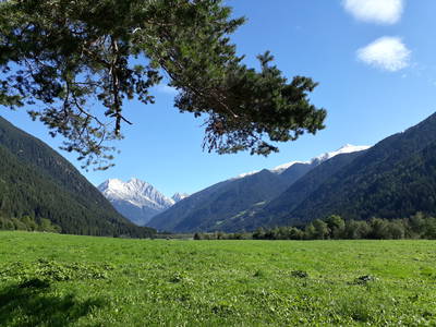 Bild 9 aus  Lechnerhof