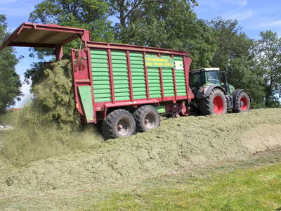 Bild 11 aus  Ommen Ferienhof