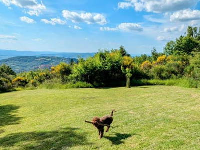 Bild 14 aus  Ferienhaus Casa Viola