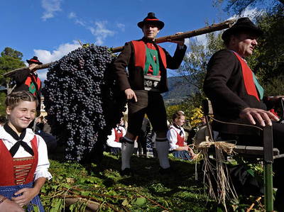 Bild 34 aus  Steinerhof