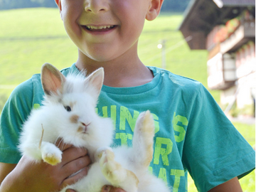 Bild 8 aus  Vogtbenedikthof im Schwarzwald