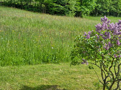 Bild 21 aus  Bauernhof Rützler