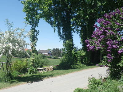 Bild 19 aus  Gottelhof