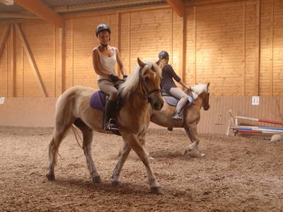 Bild 18 aus  Pension-Landhaus "Zum Ross"