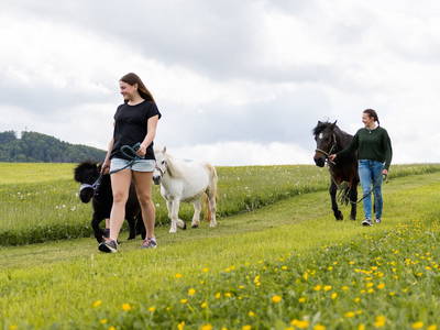Bild 40 aus  Schädlerhof