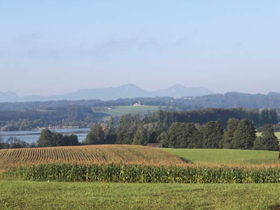 Bild 6 aus  Ferienhof Schuhegger