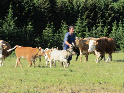 Bild 16 aus  Ferienhaus Labbronnerhof