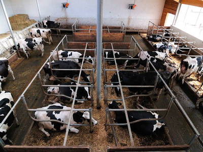 Bild 13 aus  Huberhof