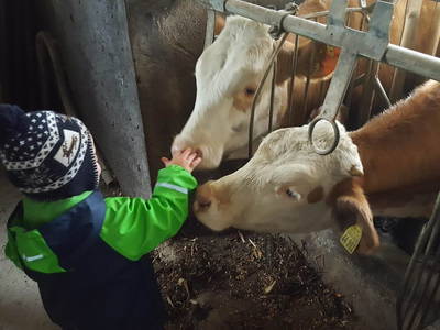 Bild 22 aus  Keilhof