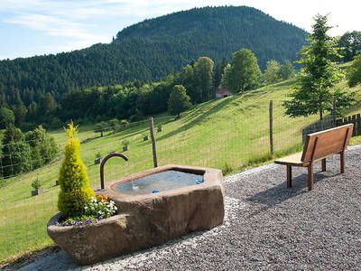 Bild 9 aus  Hirzighof