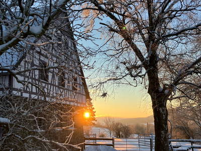 Bild 32 aus  Burgbauernhof am Katzenstein - Ursprünglichkeit des Landlebens gepaart mit Gesundheit und Luxus