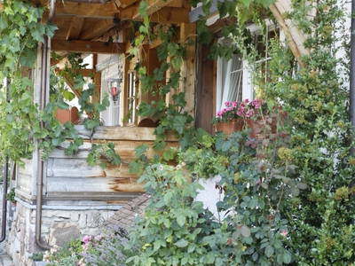 Bild 44 aus  Pension Baarblick