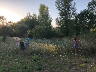 Bild 162 aus  Le Colombié - Ferienhäuser an der Dordogne mieten