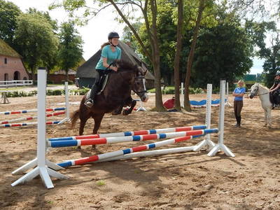 Bild 11 aus  Gut Friederikenhof