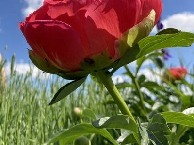 Bild 6 aus  Landhaus-Apartments