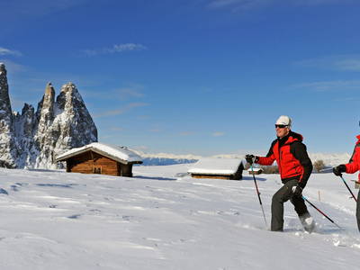 Bild 11 aus  Gfinkerhof