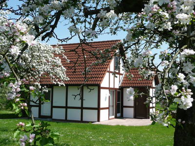 Bild 40 aus  Feriendorf Altes Land Verwaltungsgesellschaft mbH